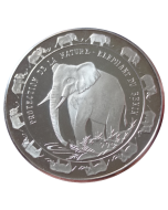 Benin 6000 francos 1993 - Elefante de Benín (Prata)