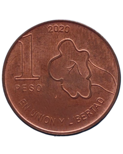 Argentina 1 Peso 2020 - Jacarandá