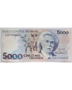 Brasil 5.000 Cruzeiros 1993 FE - C221 (com pequenas manchas)
