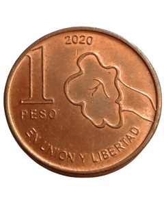 Argentina 1 Peso 2020